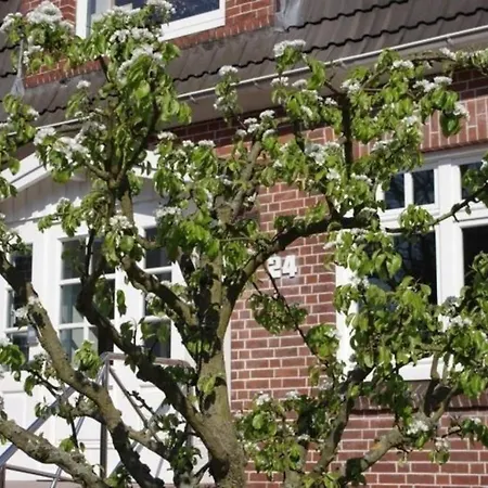 Gaestehaus Kopp Nr 01 In Cuxhaven-duhnen Appartement Cuxhaven
